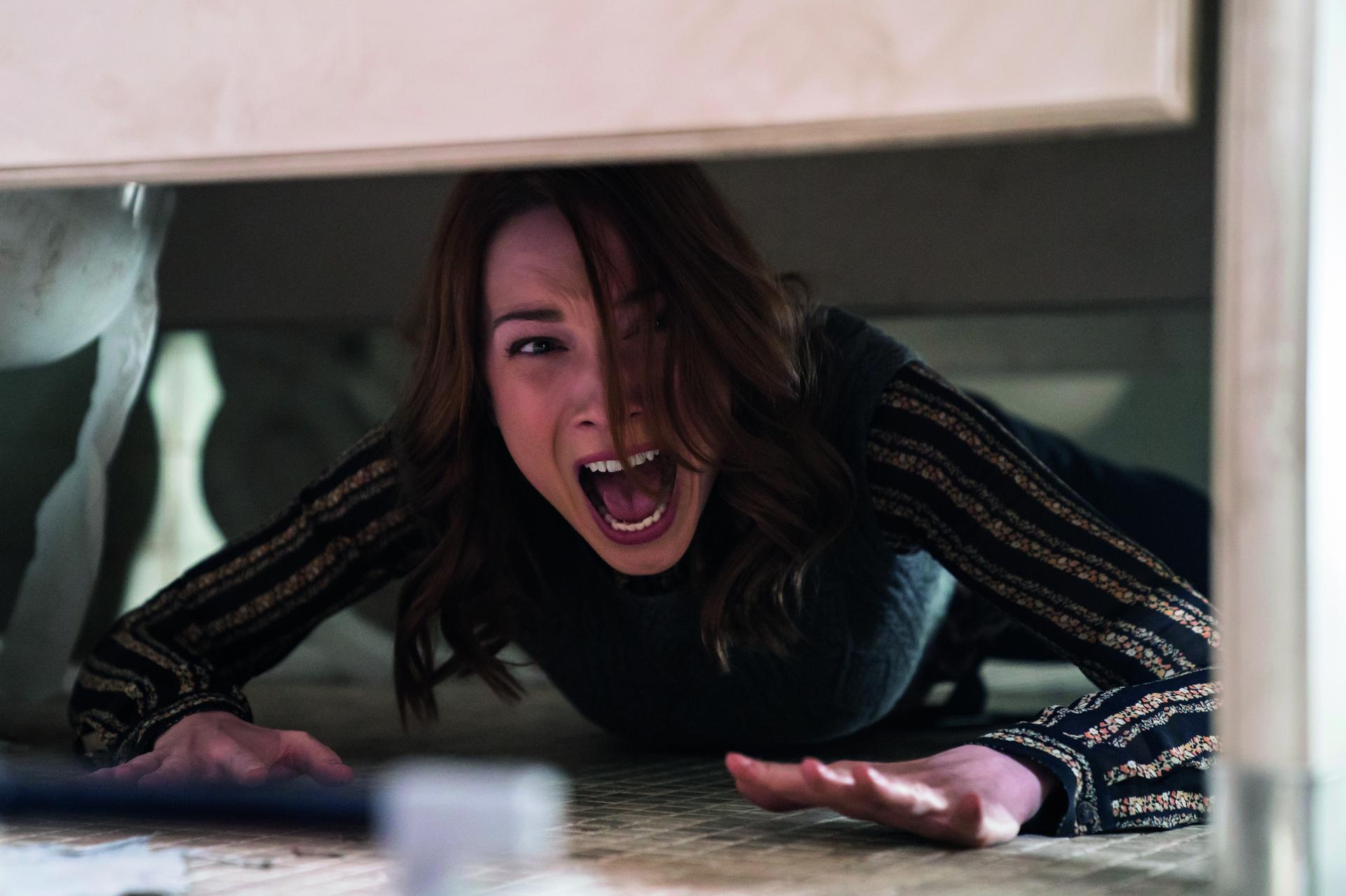 Bilder aus Halloween