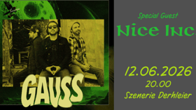 Gauss + Nice Inc