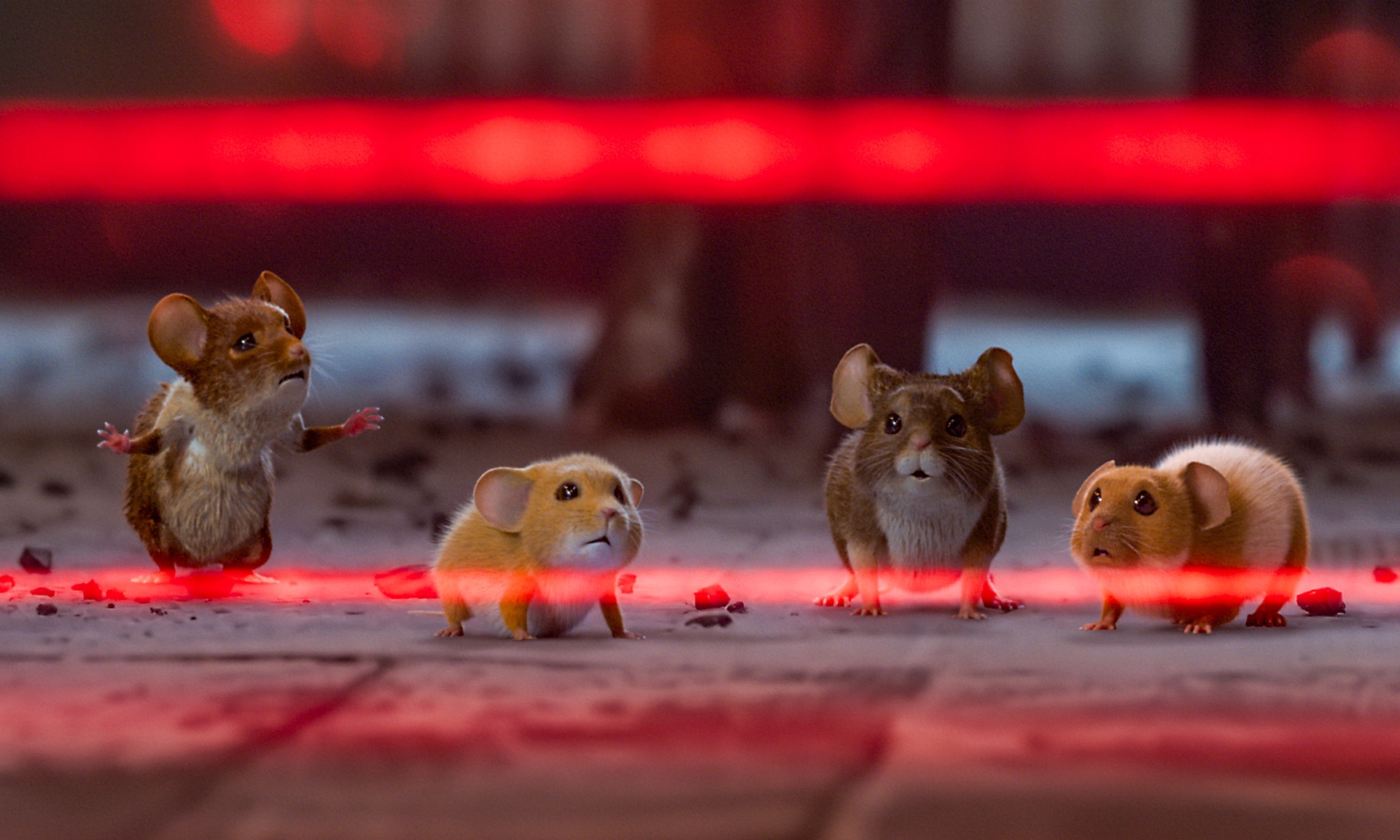 Bilder aus Mission: Mäusejagd - Chaos unterm Weihnachtsbaum