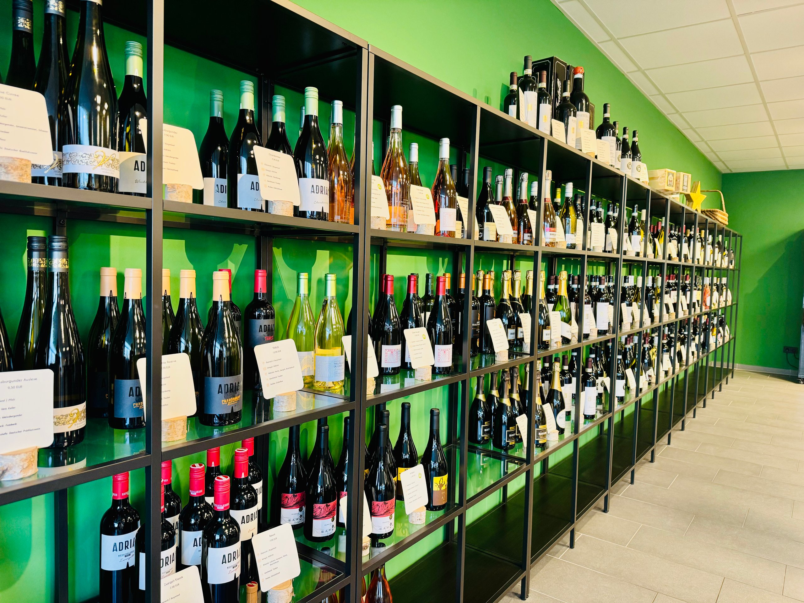 Grün gestrichene Wand mit Weinregal voller Flaschen in der Vinori Vinothek in Ismaning