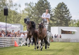 Pferd International