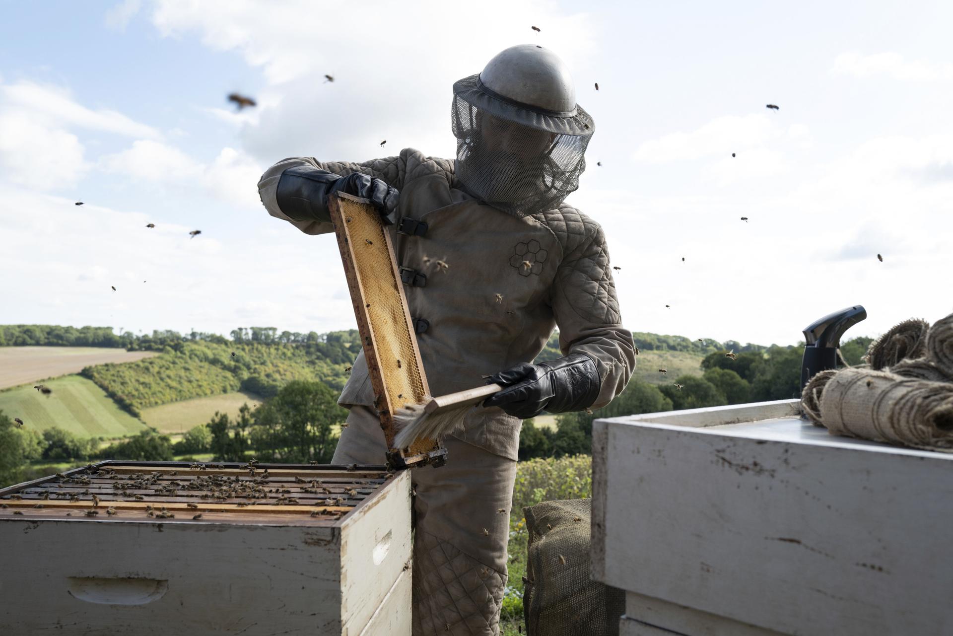 Bilder aus The Beekeeper