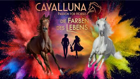 Cavalluna – Die Farben des Lebens