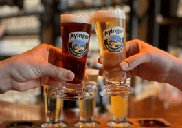 Hopfen-Trio im Ayinger am Platzl