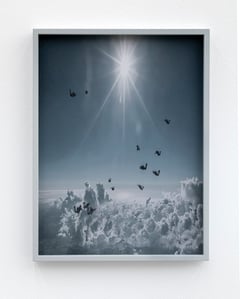 Anna Vogel: Fly In Fly Out in der Galerie Sperling