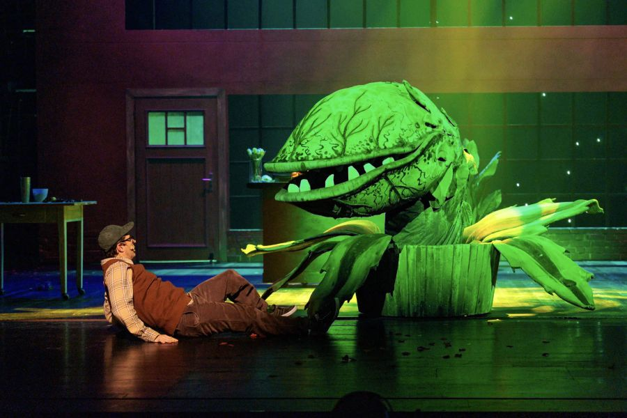 Actor in a vintage outfit lies on the stage floor facing a giant green plant monster with an open mouth.