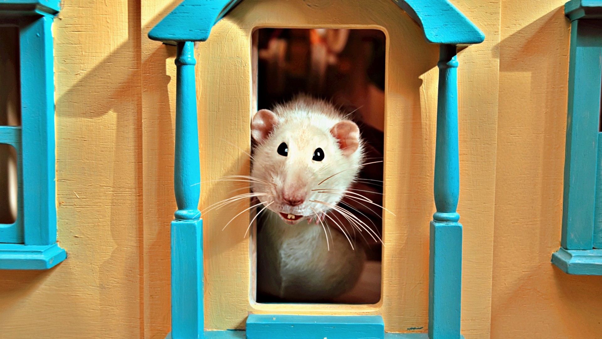 Bilder aus Akiko - Der fliegende Affe