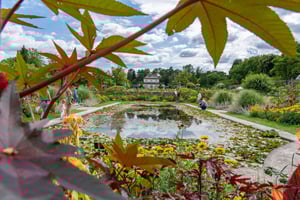 Botanischer Garten 