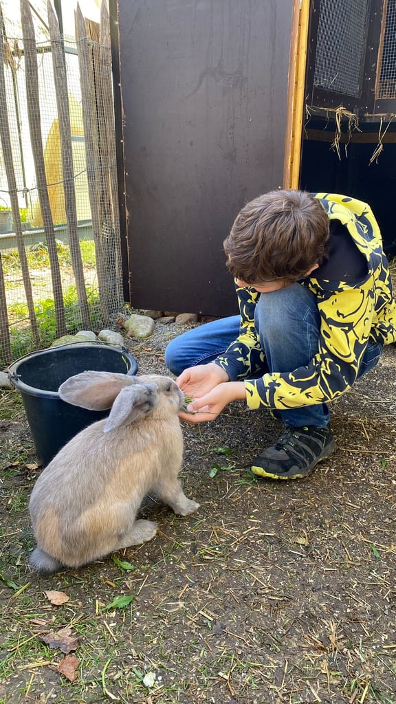 Child in a yellow-and-black jacket kneels to feed a gray rabbit beside a black wooden wall and a metal fence garden area