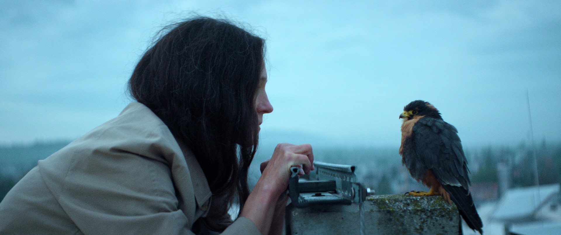 Bilder aus Chaos und Stille