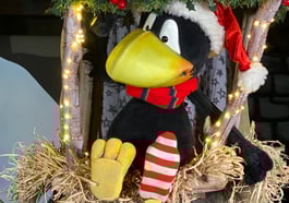 Der kleine Rabe Socke feiert Weihnachten