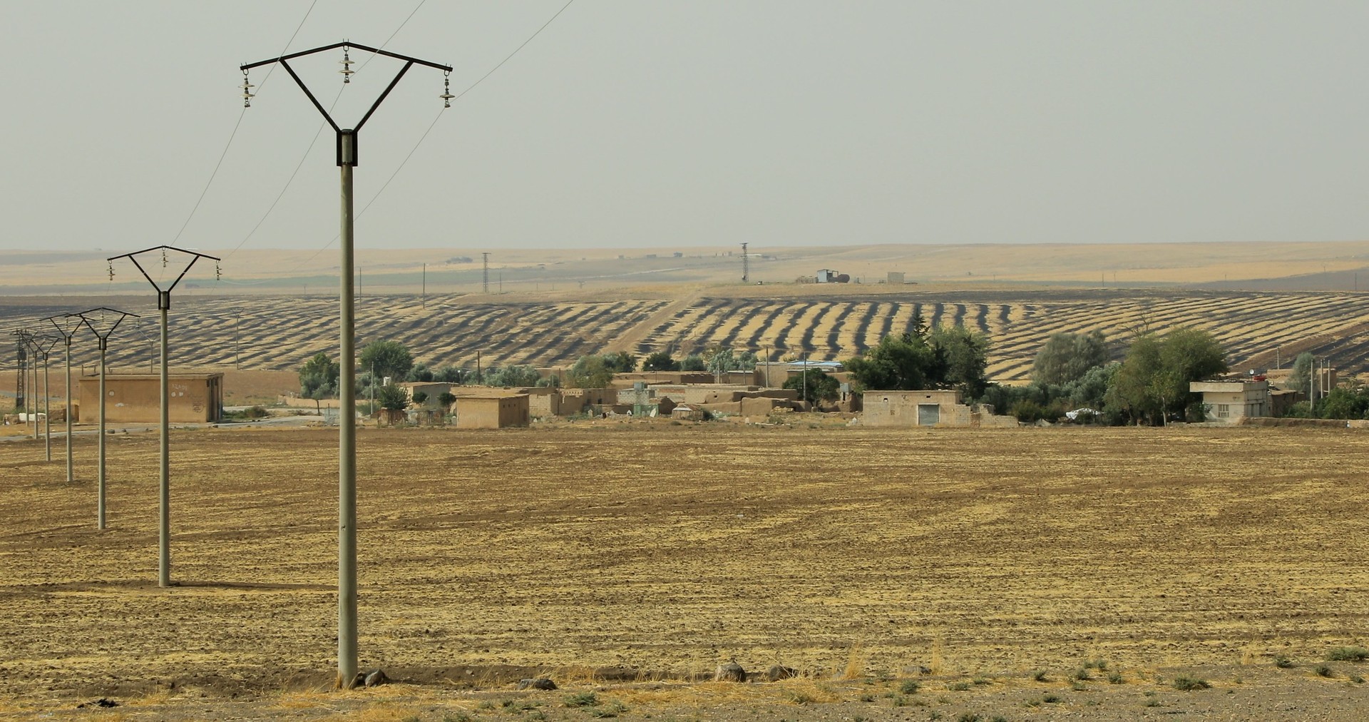 Bilder aus Trotz Alledem