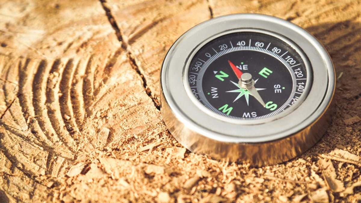 Hat die Wissenschaft immer recht? Auf der Suche nach Orientierung in komplexen Zeiten