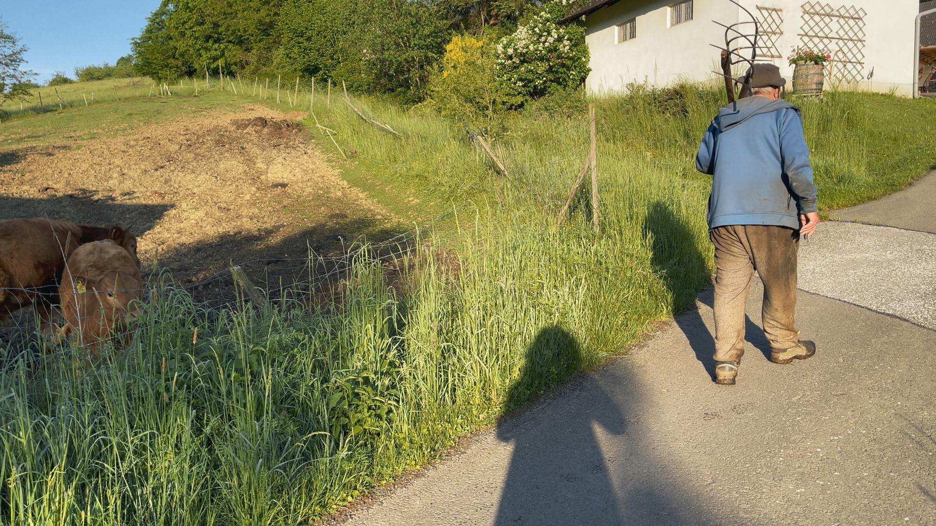Bilder aus Besuch im Bubenland