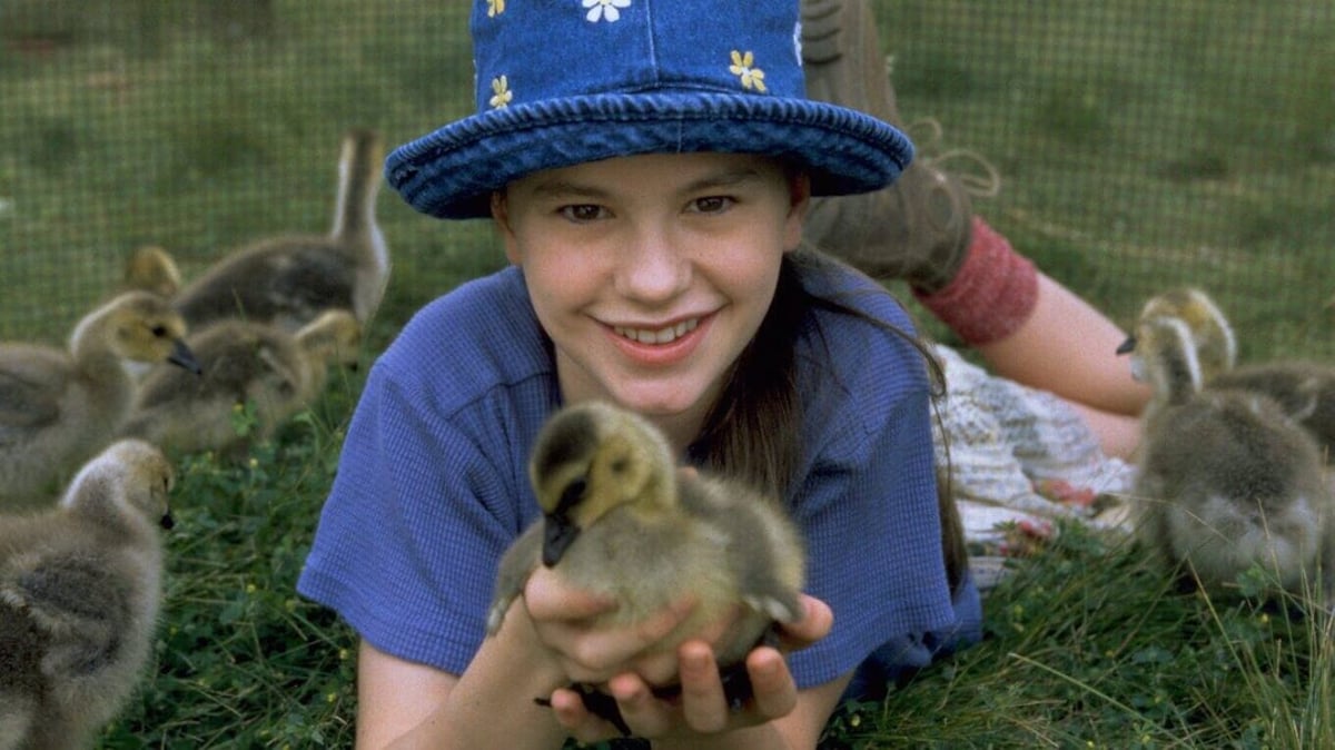 Großes Kinderkino – Amy und die Wildgänse