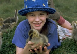 Großes Kinderkino – Amy und die Wildgänse