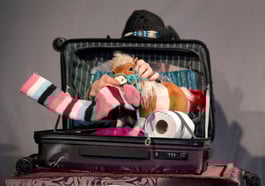 die exen – Dorothee Carls: Pony im Koffer