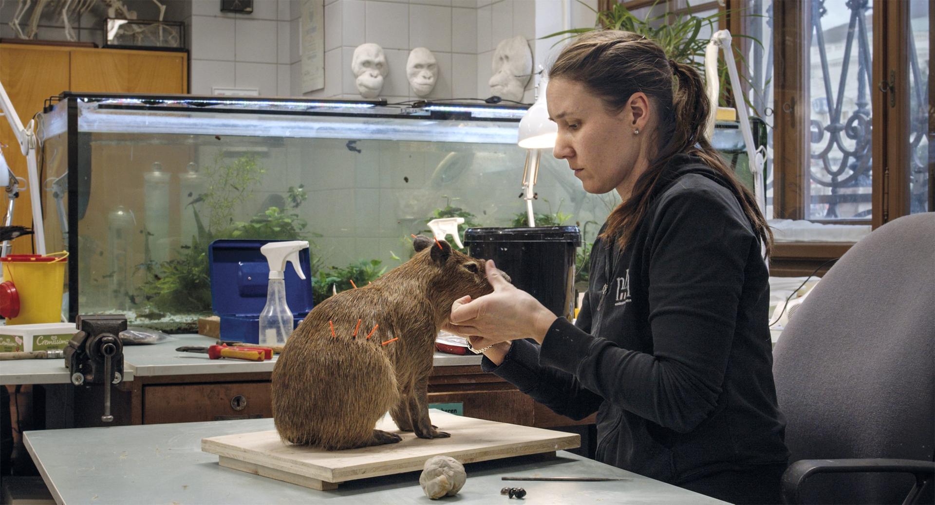 Bilder aus Archiv der Zukunft