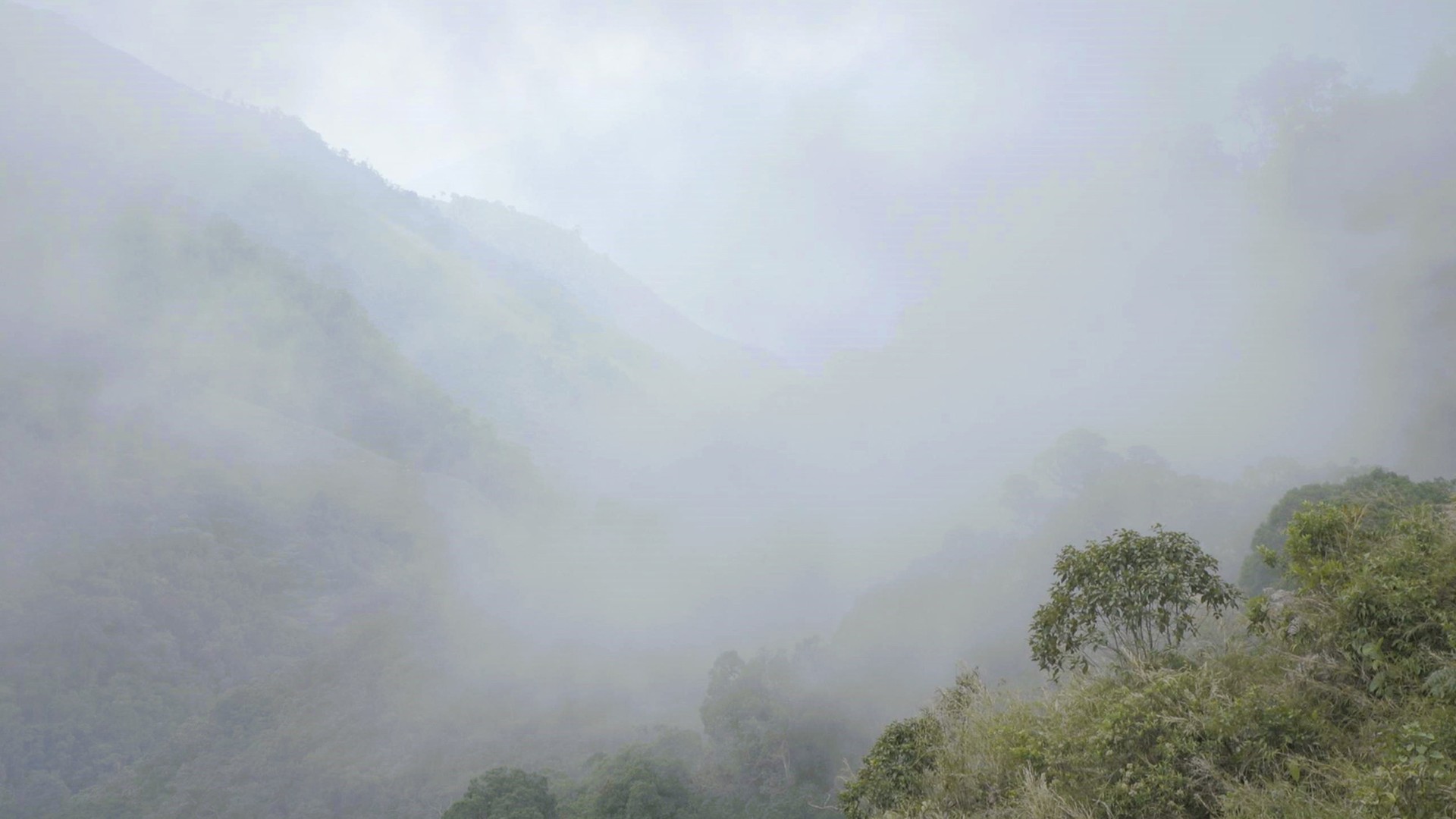 Bilder aus Provisorium