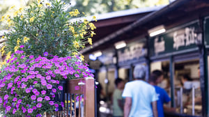 Hirschgarten München