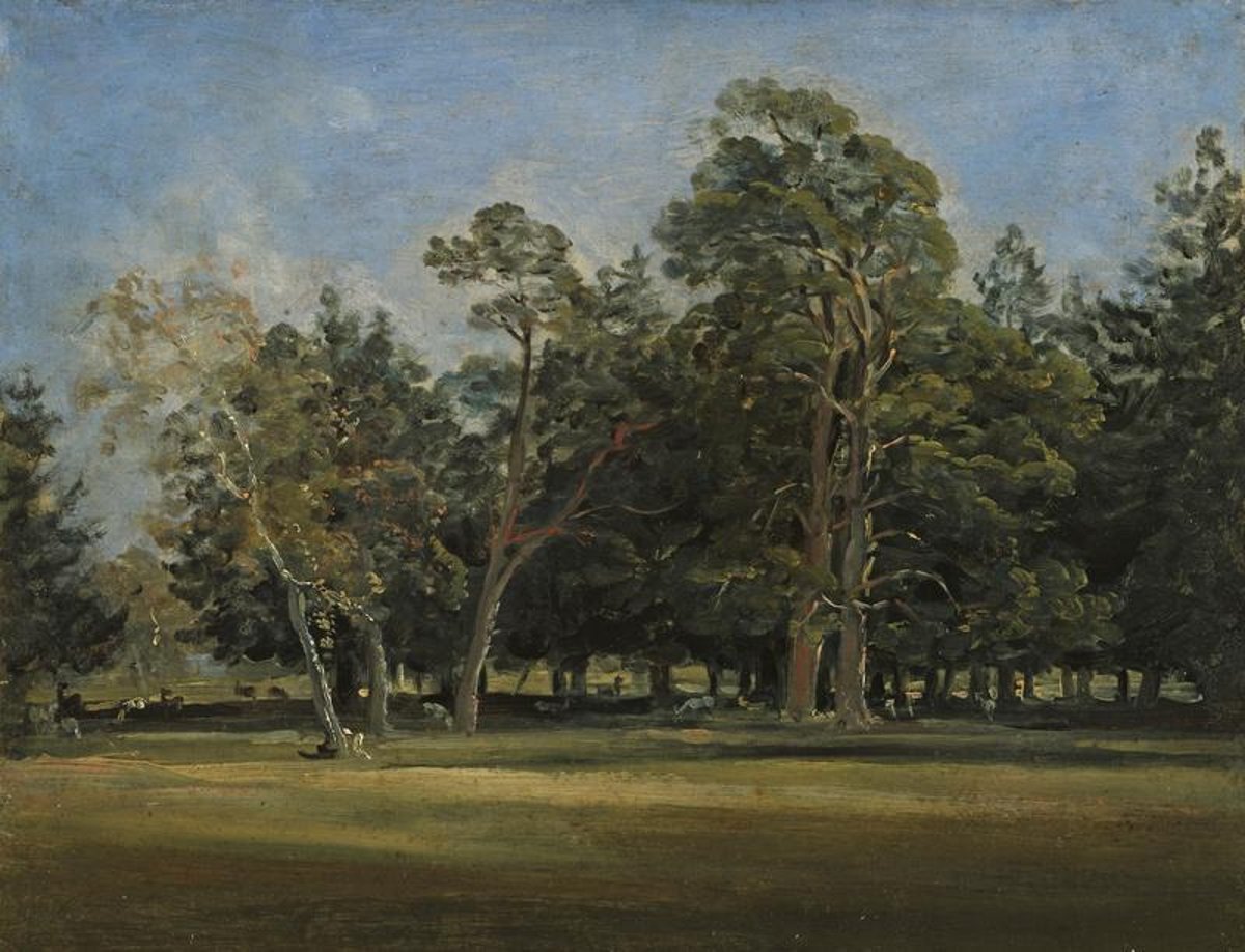 Was zu verschwinden droht, wird Bild. Mensch – Natur – Kunst