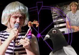 Lolas lustige Krisenshow