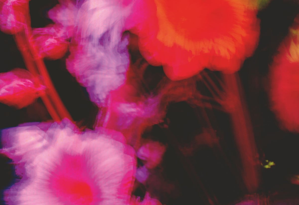 Brainlab Culture Program