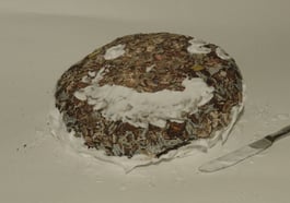 Kuchen im Container