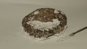 Kuchen im Container