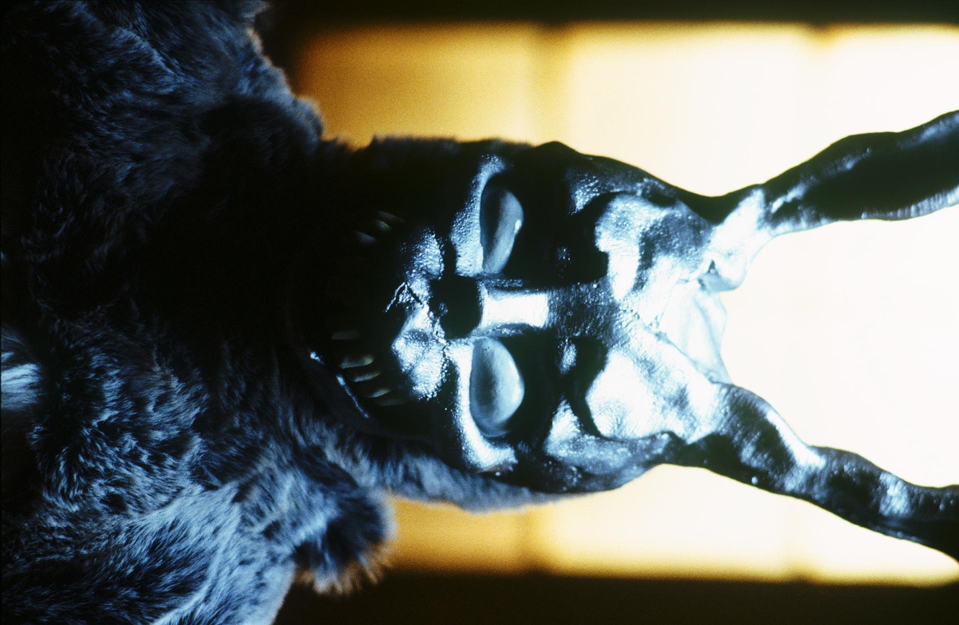 Bilder aus Donnie Darko