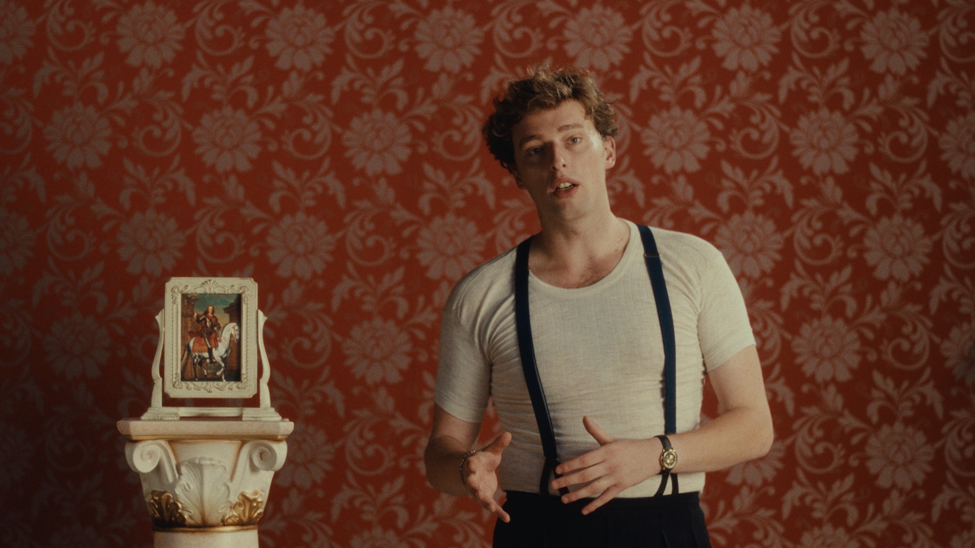 Bilder aus Noch lange keine Lipizzaner