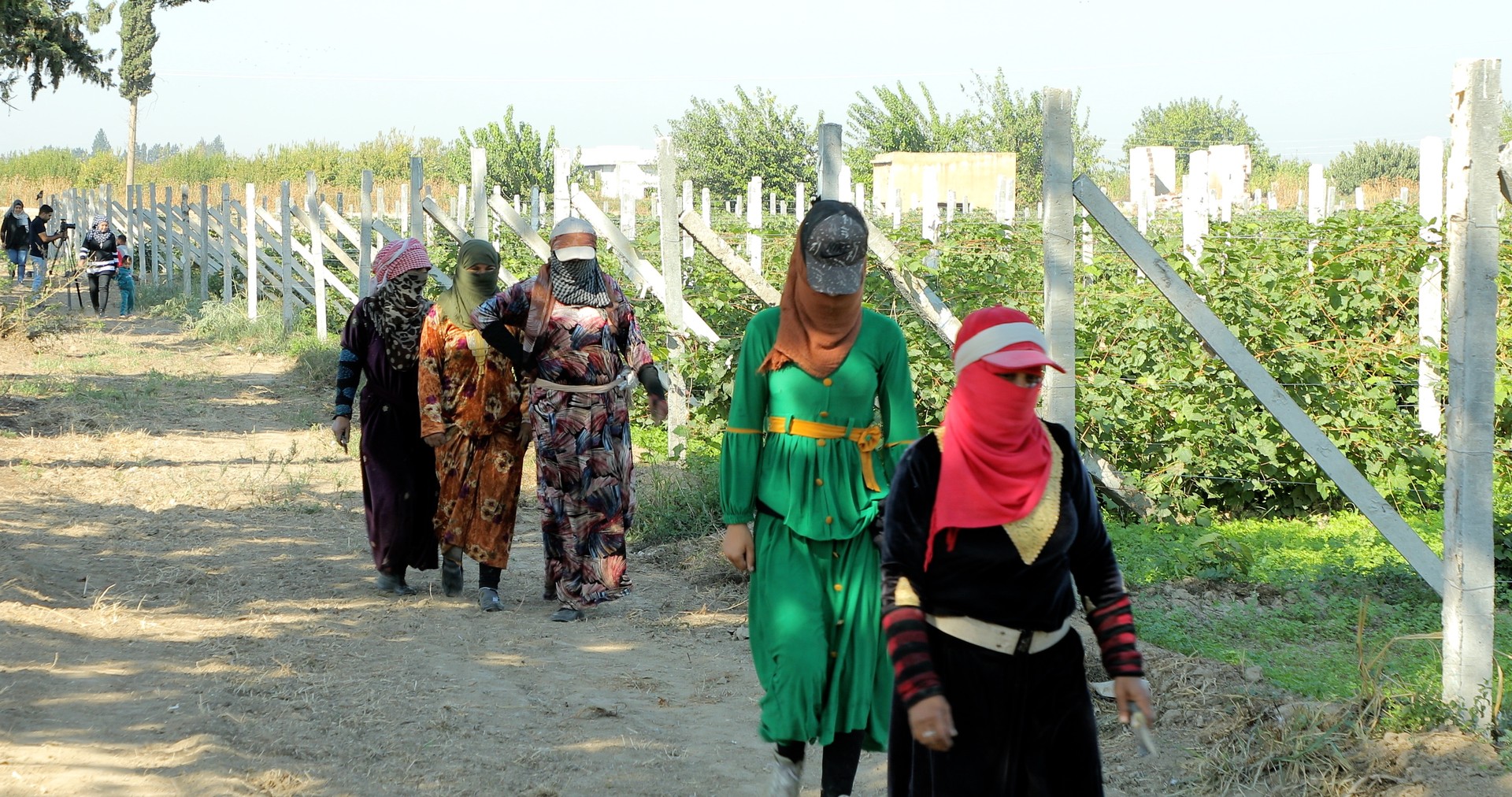 Bilder aus Trotz Alledem