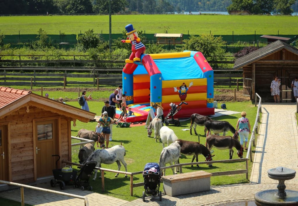 A colorful inflatable bounce house with a clown figure on top in a sunny farm setting, surrounded by people and kids.