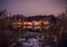Winterzauber Gans am Wasser