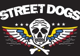Street Dogs