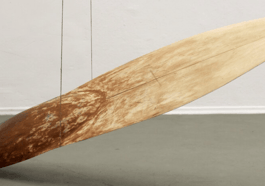 Symbiosis | Kunst zwischen Mensch und Natur