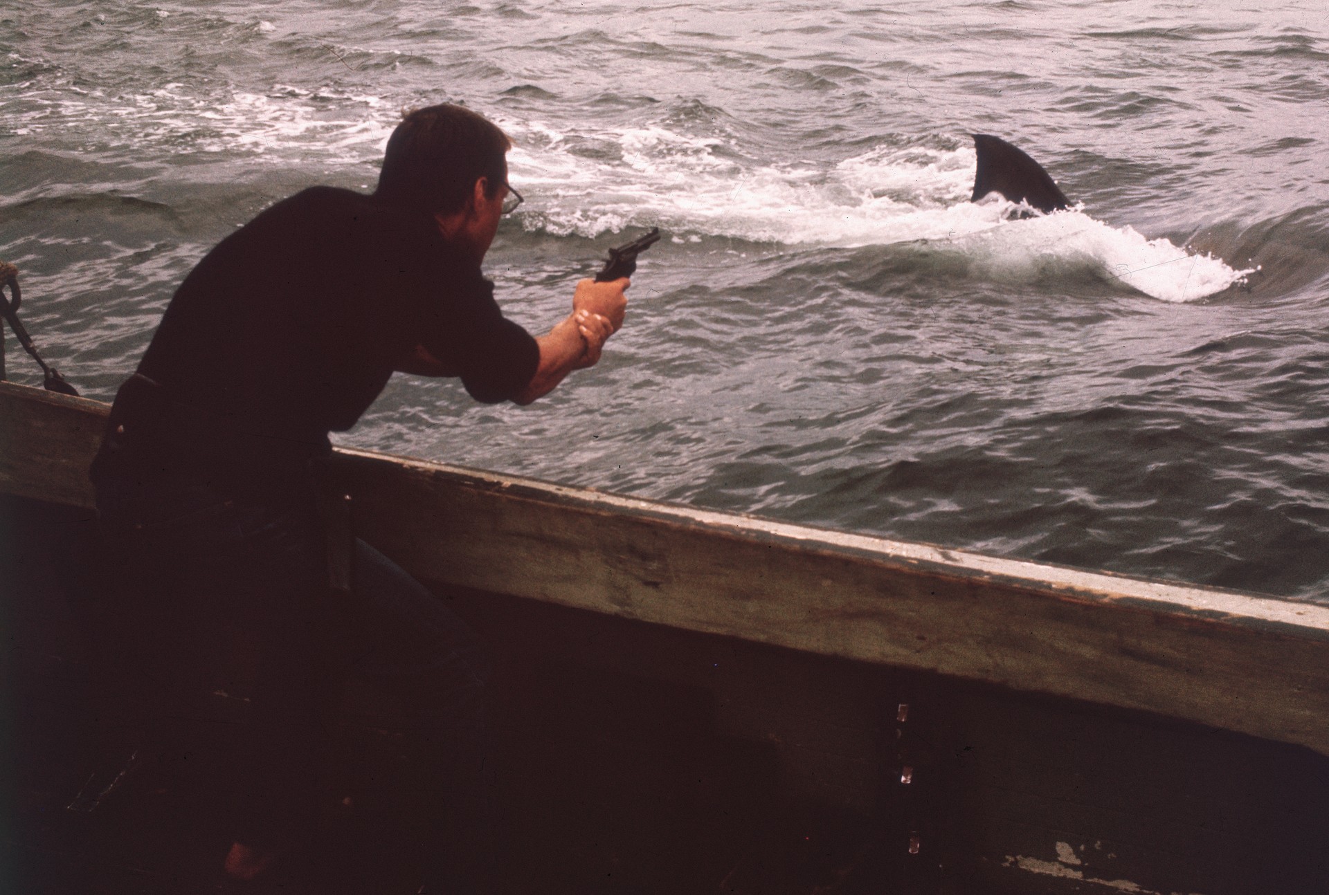 Bilder aus Der weiße Hai