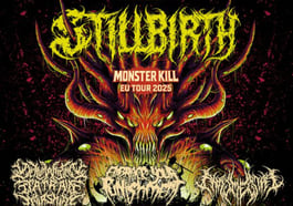 Stillbirth