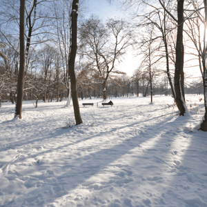 Von Rodelbahn bis Rodelhügel: ab zum Schlittenfahren 