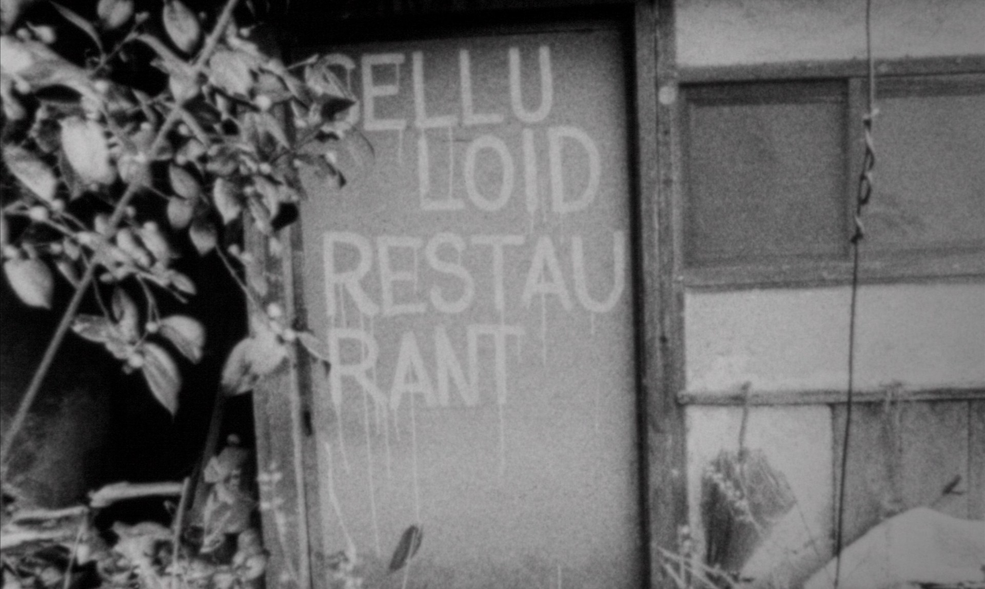 Bilder aus Step Across the Border