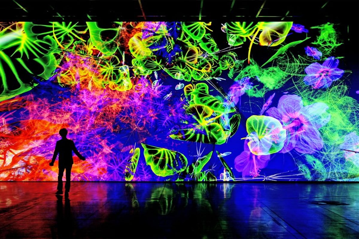 Digital by Nature. Die Kunst von Miguel Chevalier