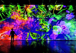 Digital by Nature. Die Kunst von Miguel Chevalier