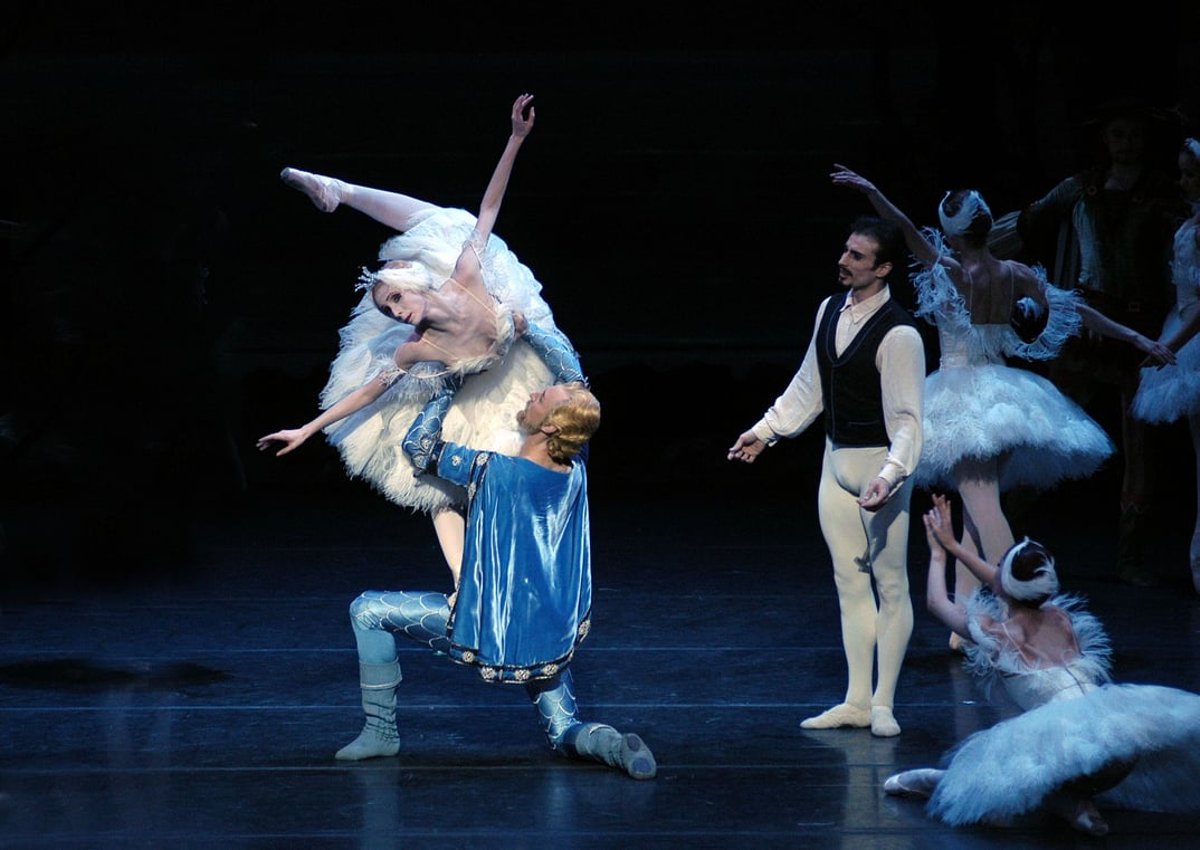 Illusionen ­– wie Schwanensee