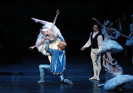 Illusionen ­– wie Schwanensee