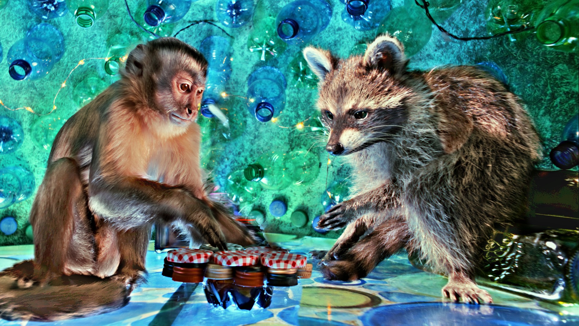 Bilder aus Akiko - Der fliegende Affe