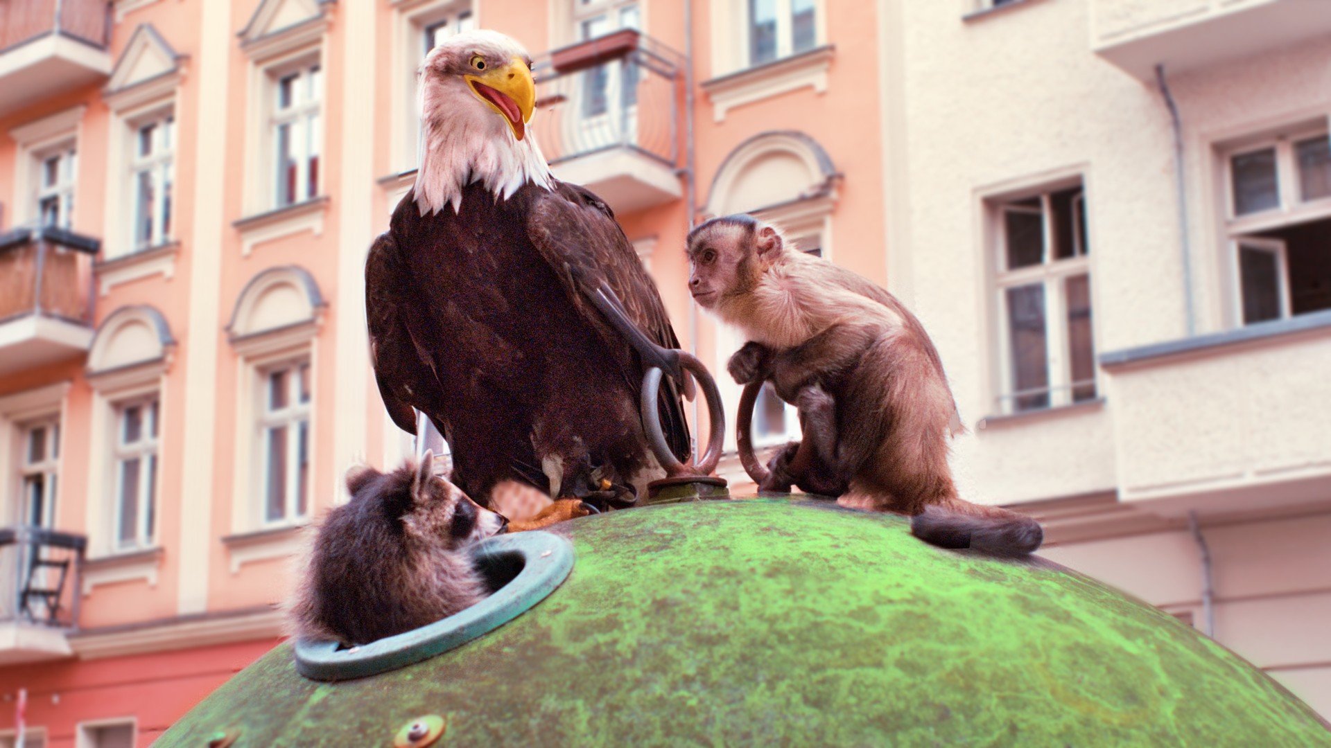 Bilder aus Akiko - Der fliegende Affe