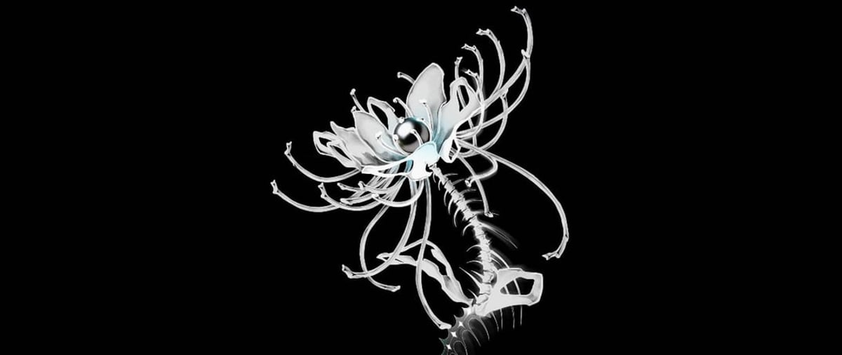 Ballettfestwoche 2026