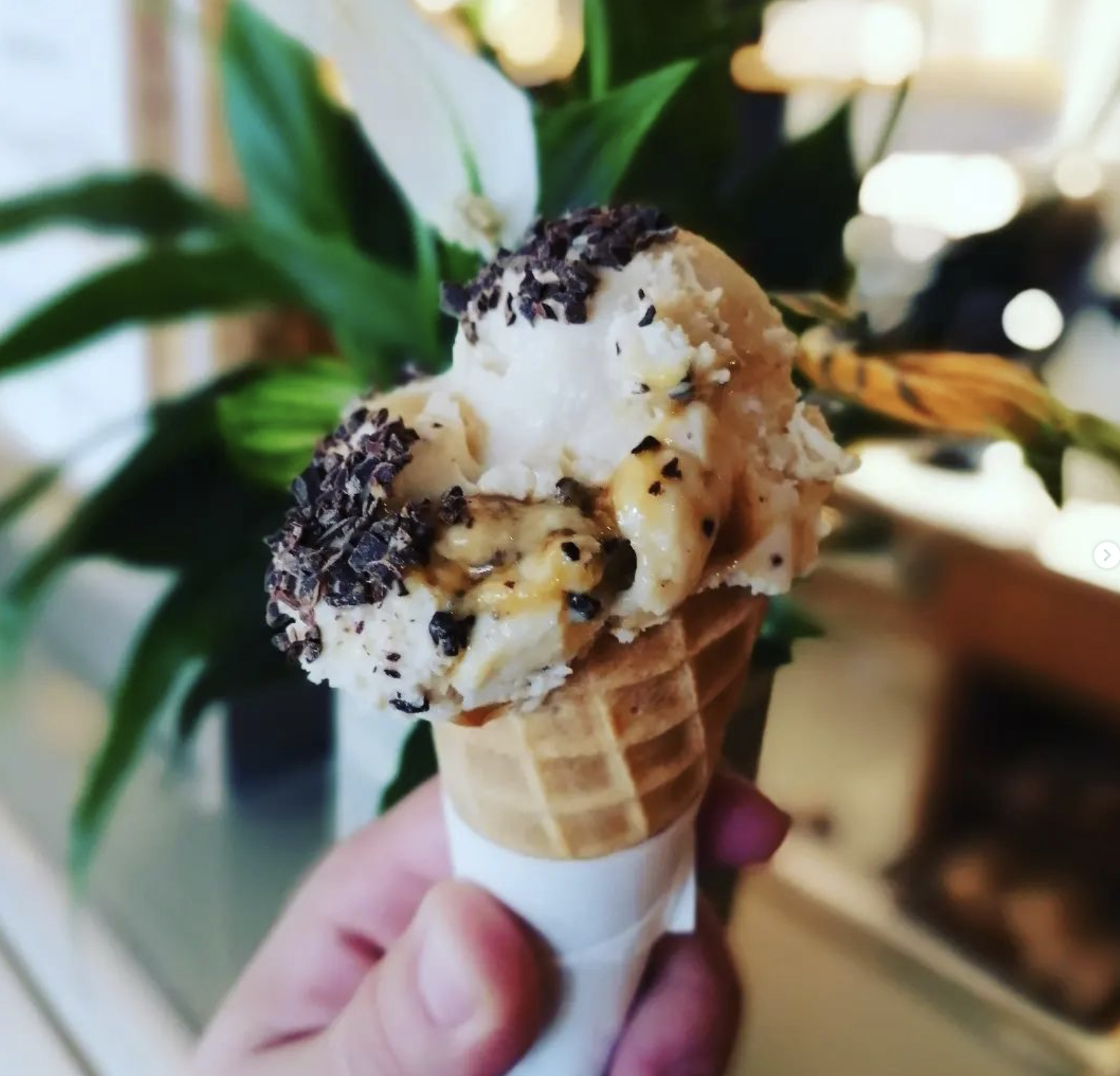 Tour de Eis: ARTEfredda