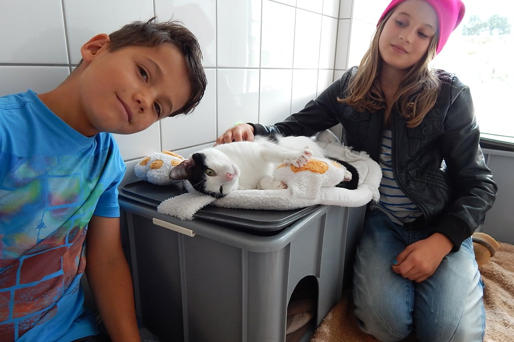 Two children sit beside a white cat with a black head resting on a towel on top of a gray laundry bin.