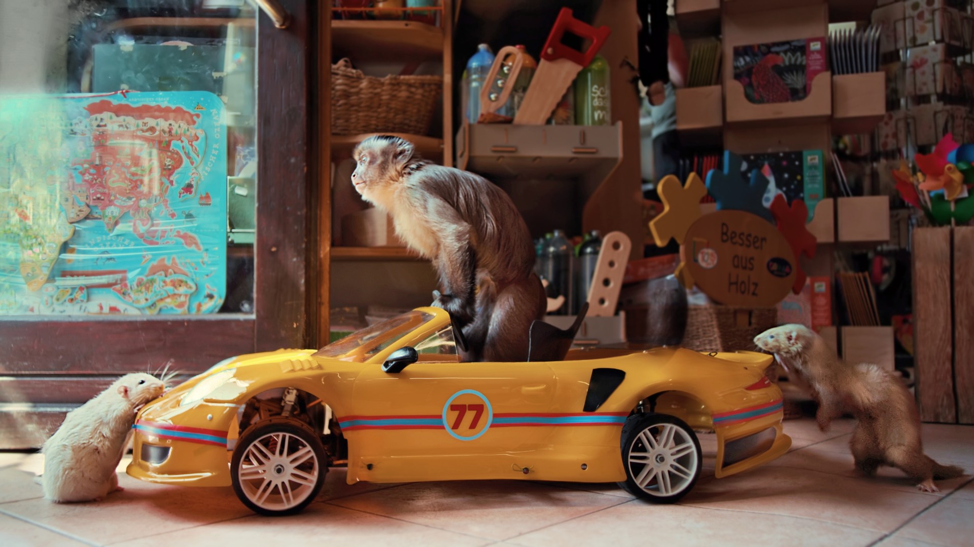 Bilder aus Akiko - Der fliegende Affe